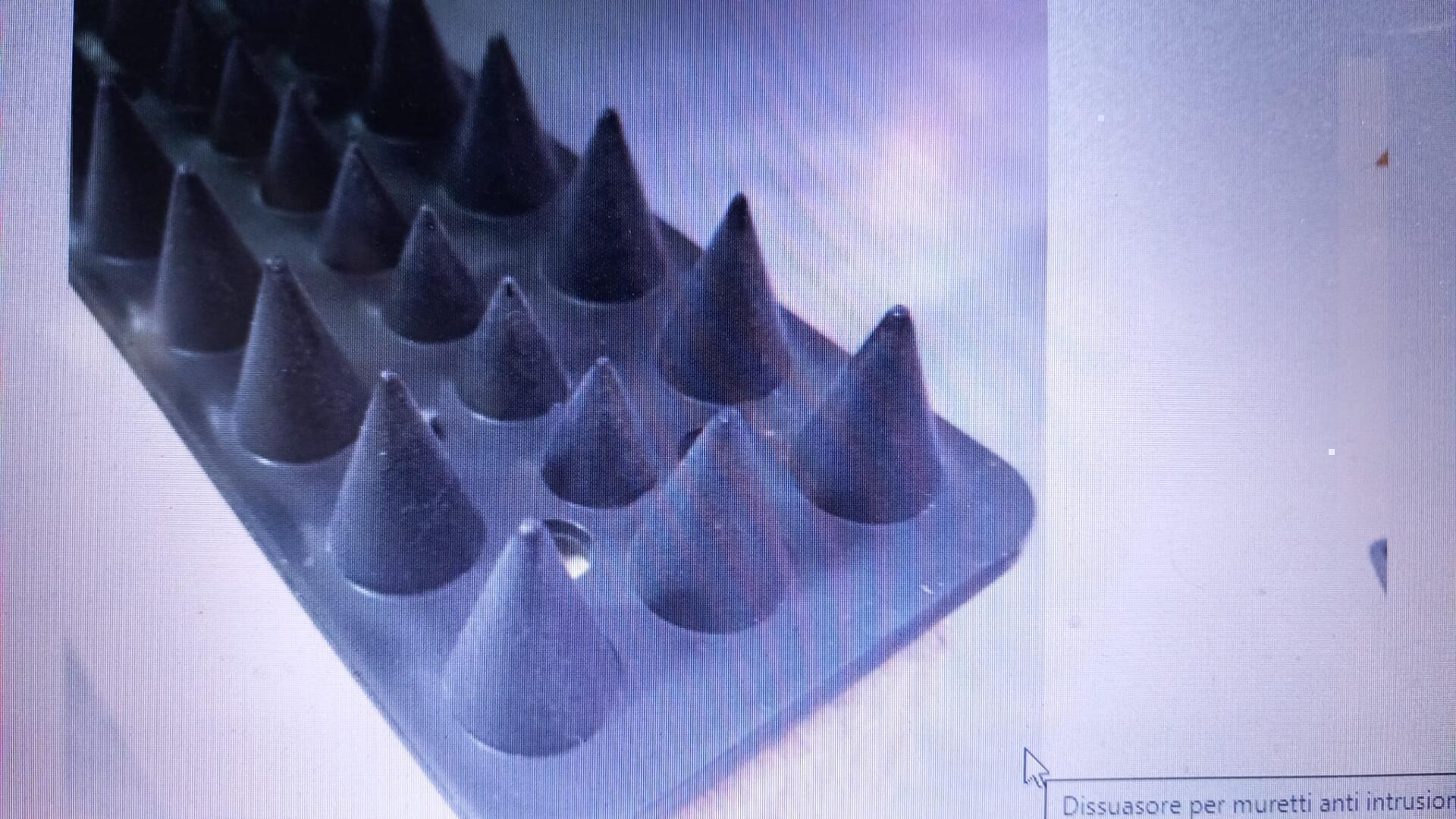 aaa