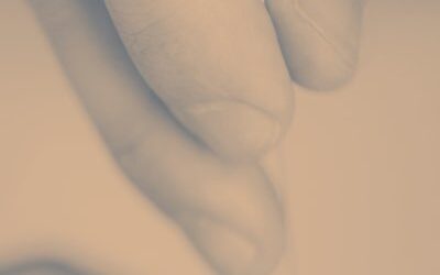 I segreti per un design web accattivante #777